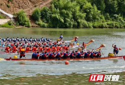 赛龙舟视频,共赏竞技风采