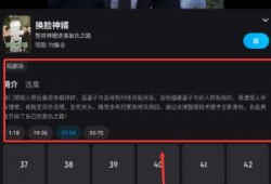 能看的视频,精选视频内容概览