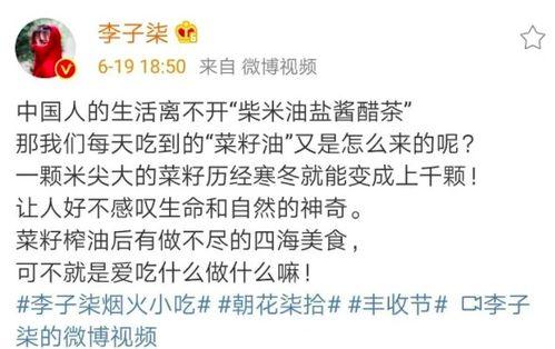 爱爱视频免费,带你探索网络世界的激情瞬间