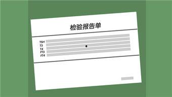 ph视频,揭秘科技与娱乐的完美融合